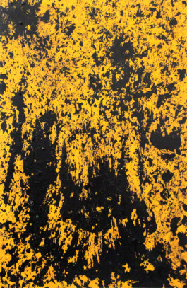 Art on Canvas by Alexander Gegia