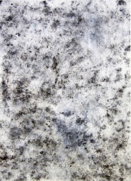 Art on Canvas by Alexander Gegia